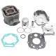 Haut Moteur 50 à Boite adaptable Derbi 50 Senda 2006-, GPR 2006-,Gilera 50 SMT 2006-, RCR 2006- (Moteur Piaggio Euro 3) -Alu Ni