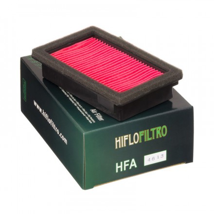 Filtre à air HIFLOFILTRO HFA4613