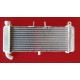 Radiateur Derbi GPR 50 2009-2013, Aprilia RS4 50/125 2011