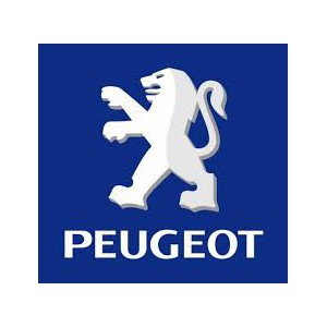Peugeot Kit chaîne