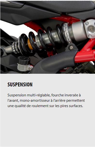 SUSPENSION Suspension multi-réglable, fourche inversée à l'avant, mono-amortisseur à l'arrière permettent une qualité de roulement sur les pires surfaces.