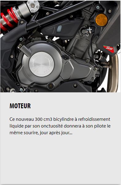 MOTEUR Ce nouveau 300 cm3 bicylindre à refroidissement liquide par son onctuosité donnera à son pilote le même sourire, jour après jour...