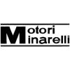 MINARELLI MOTOR