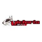 VICTORIA BULL